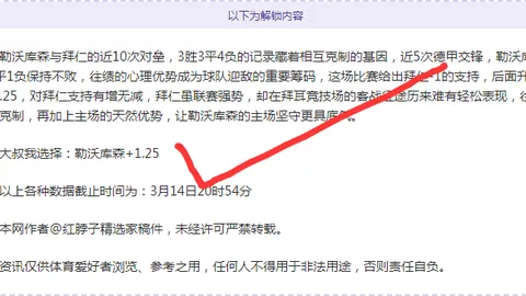 埃尔莫索赛季前景堪忧，勒沃库森买断机会微乎其微