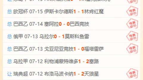 2026年最新14战11胜，持续攀升的强势状态